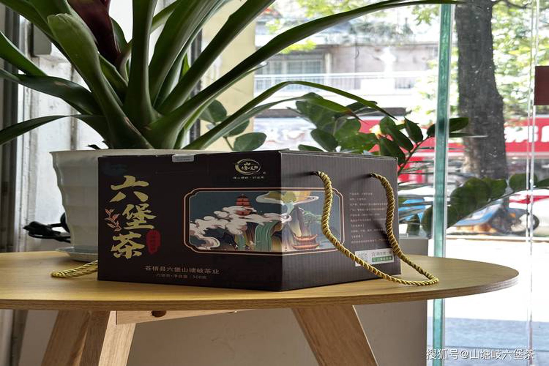 六堡公社茶业