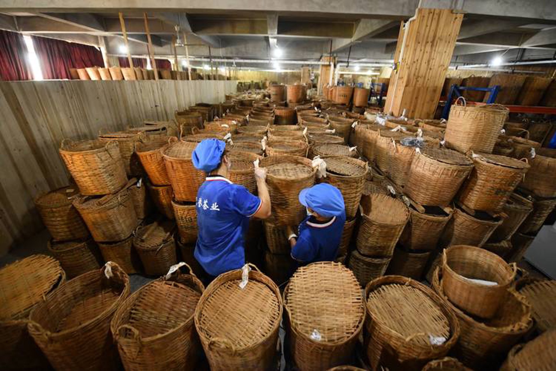 六堡公社茶业